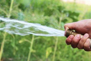 lawn watering